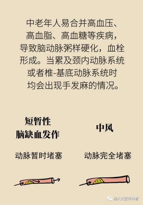 掐指一算的口诀，掐指一算的口诀是什么