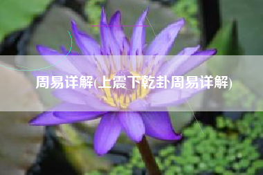 周易详解(上震下乾卦周易详解)