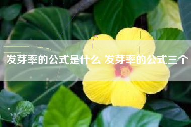 发芽率的公式是什么 发芽率的公式三个