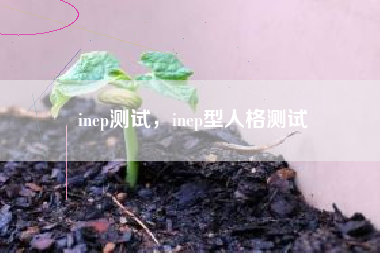 inep测试，inep型人格测试