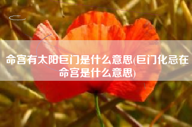 命宫有太阳巨门是什么意思(巨门化忌在命宫是什么意思)