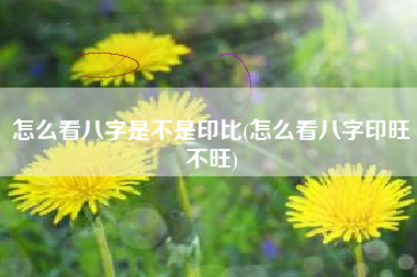 怎么看八字是不是印比(怎么看八字印旺不旺)