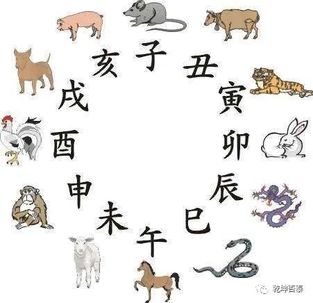 明字解一生肖，明字表示什么生肖