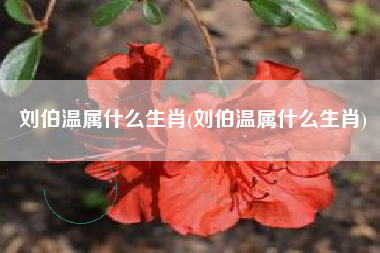 刘伯温属什么生肖(刘伯温属什么生肖)