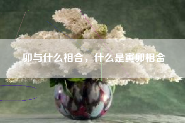 卯与什么相合，什么是寅卯相合