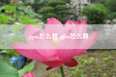 ppm怎么算 ppm怎么算