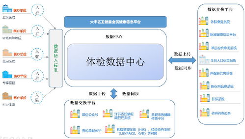 健康检查信息系统