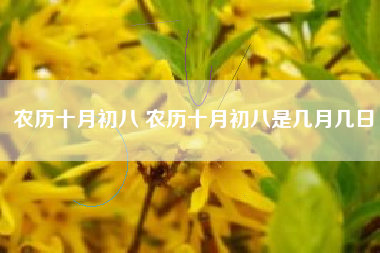 农历十月初八 农历十月初八是几月几日