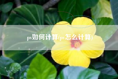 pv如何计算(pv怎么计算)