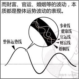 双木克土是什么命 八字双木克土的人怎么样