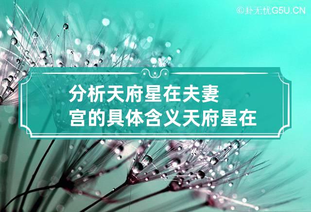 分析天府星在夫妻宫的具体含义 天府星在夫妻宫女命