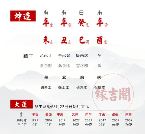 巳酉丑三合金局代表的含义