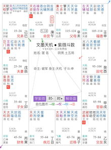 紫微斗数免费命盘详解元亨利贞