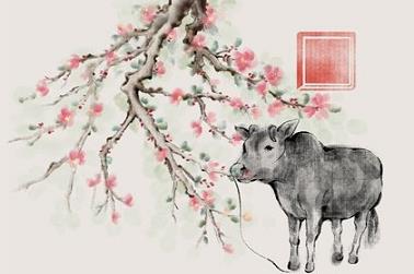 十八今年属什么生肖，今年十八岁生肖是什么