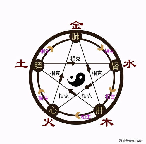 八字五行属什么