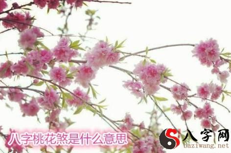 八字桃花煞是什么意思