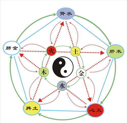 翼字属于五行属什么关系