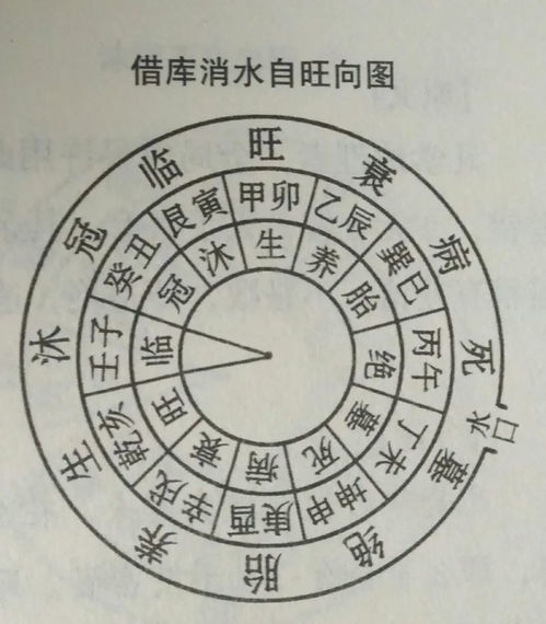 八字丁壬合代表什么