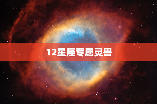 12星座专属灵兽