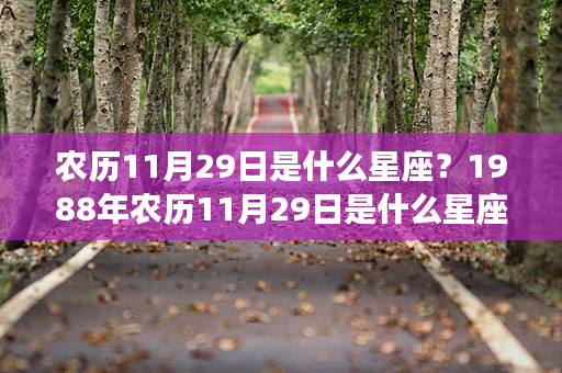 农历11月29日是什么星座？1988年农历11月29日是什么星座？ 