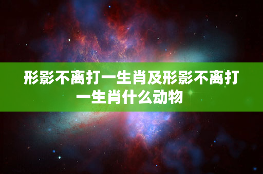 形影不离打一生肖及形影不离打一生肖什么动物 