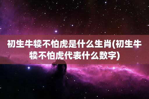 初生牛犊不怕虎是什么生肖(初生牛犊不怕虎代表什么数字)