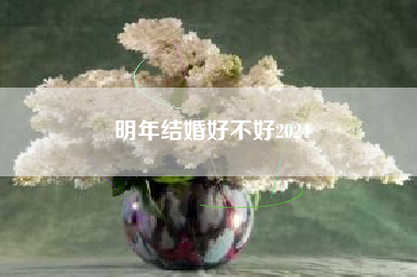 明年结婚好不好2024