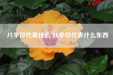 八字印代表什么 八字印代表什么东西