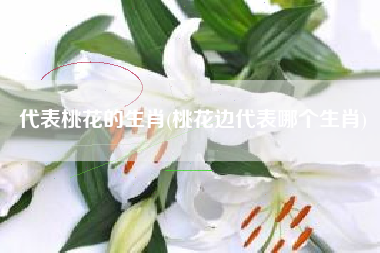 代表桃花的生肖(桃花边代表哪个生肖)