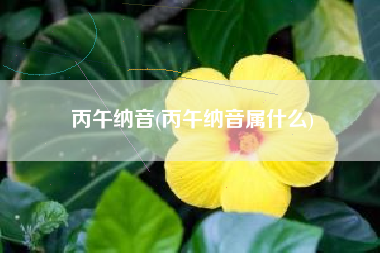 丙午纳音(丙午纳音属什么)