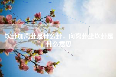 坎卦加离卦是什么卦，向离卦坐坎卦是什么意思