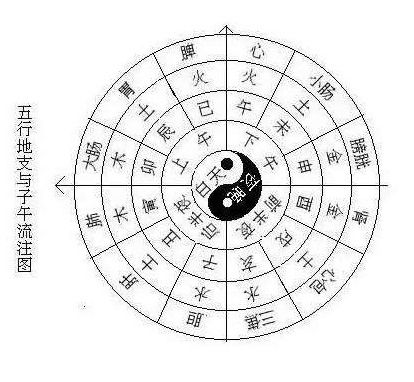 丁巳五行属性是什么 丁巳月的五行属性是什么