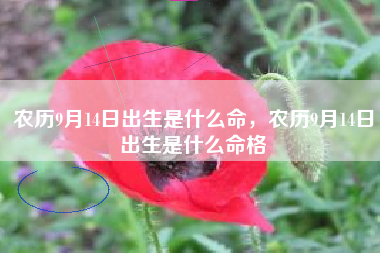 农历9月14日出生是什么命，农历9月14日出生是什么命格