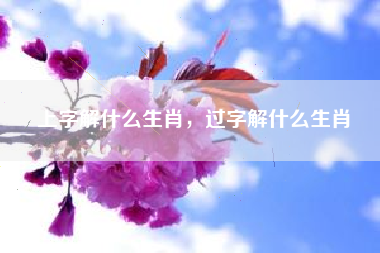 上字解什么生肖，过字解什么生肖