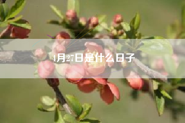 4月27日是什么日子