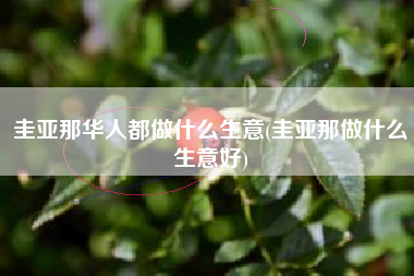 圭亚那华人都做什么生意(圭亚那做什么生意好)