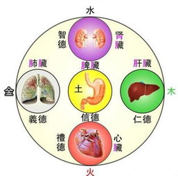 教育五行属木还是火 属火的行业生意有哪些