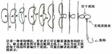 八字环打结方法，八字环的绑法