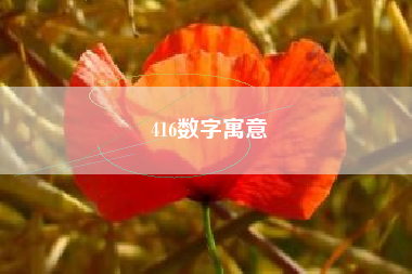 416数字寓意