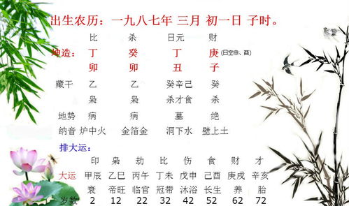 子字五行之中属什么，子字五行属火还是水