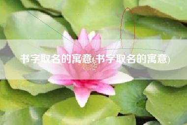 书字取名的寓意(书字取名的寓意)