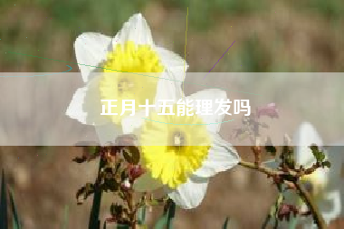 正月十五能理发吗