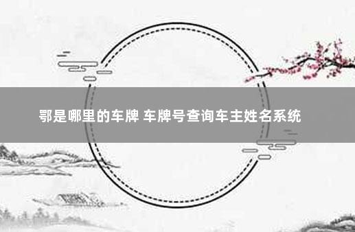 鄂是哪里的车牌 车牌号查询车主姓名系统