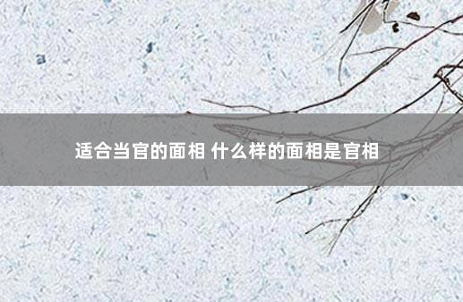 适合当官的面相 什么样的面相是官相