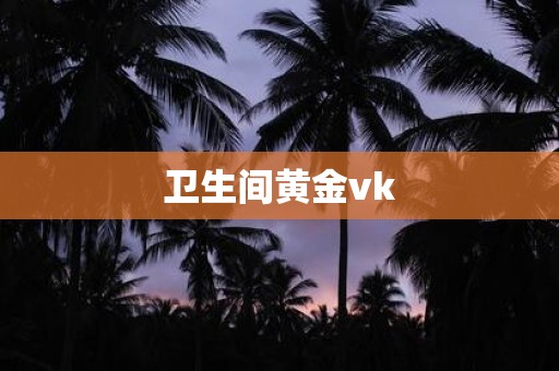 卫生间黄金vk