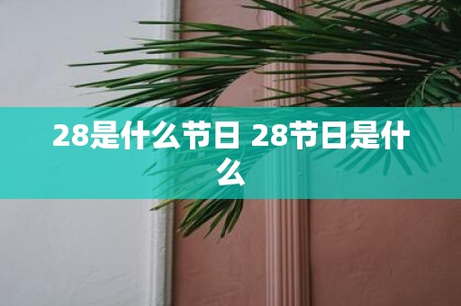 28是什么节日 28节日是什么