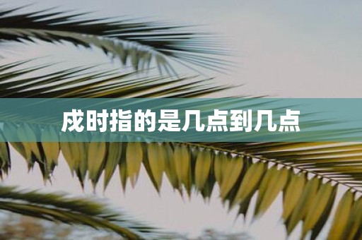 戍时指的是几点到几点