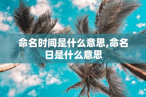 命名时间是什么意思,命名日是什么意思