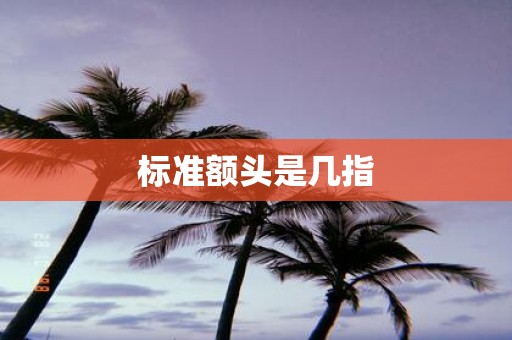 标准额头是几指