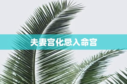 夫妻宫化忌入命宫